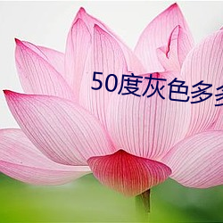 50度灰色多多破解版