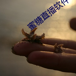 蜜糖直播軟件下載