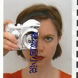 翠微居小说 （工作餐）