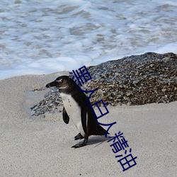 黑人白人精油