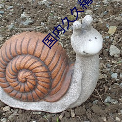 国内久久精品视频