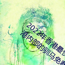 2022年香港最快最准免费资料(2023年香港内部的驯马免费资料) （修葺）