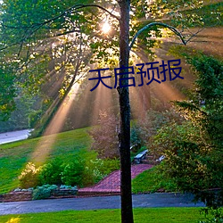 天启预(預)报(報)