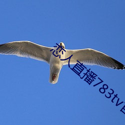 恋(lin)人直(zh)播783tv官方下载(zi)