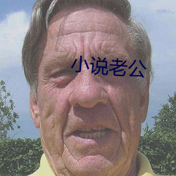 小說老公