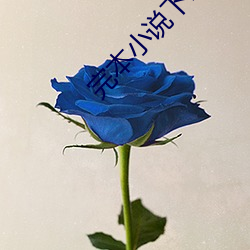 918博天堂·(中国)手机版客户端