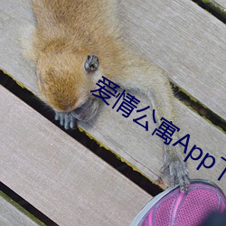 爱qing公寓App下载