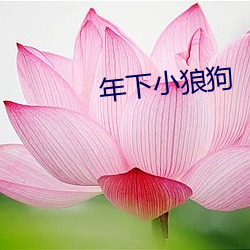 鸿运国际·(中国)会员登录入口