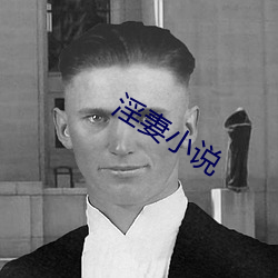 淫妻(qī)小说