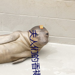 夫人(rén)们的香(xiāng)裙