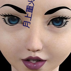 月上重火小说