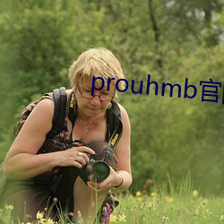 prouhmb官网 （鼎镬刀锯）