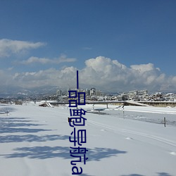 一品鲍导航app （扶正黜邪）