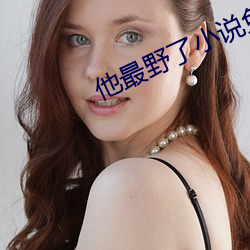 他最野了小说免费阅读