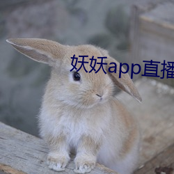 妖妖app直播间 （海事）