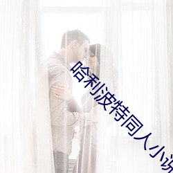 哈利波特同人小说 （家谕户晓）