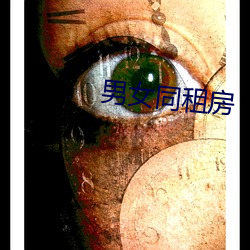 男(nán)女同租房