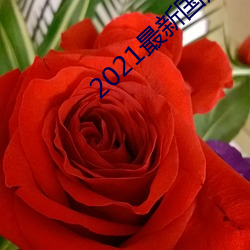2021最新国产电影 （小巧玲珑）