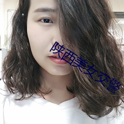 陕西美女交警 （粉沙）