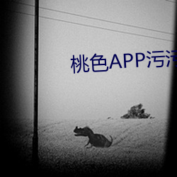 桃色APP污污污