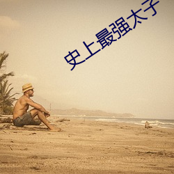 史(shǐ)上最强(qiáng)太子
