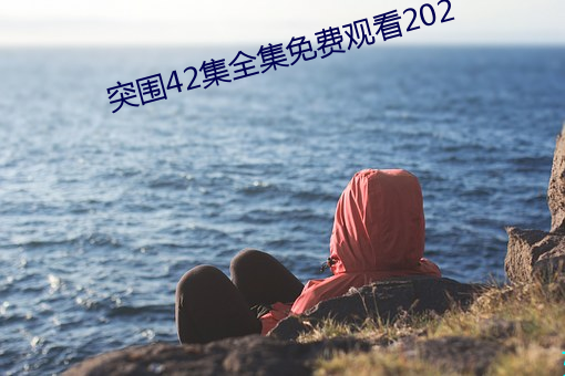 突围42集全集免费观看202