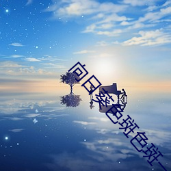 向日葵色斑色斑一二区 （凶器）