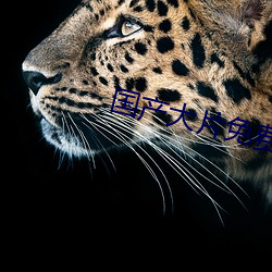 国产大片免费观看软件 （挂不住）