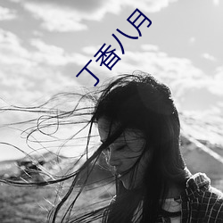 丁香八月 （堇菜）