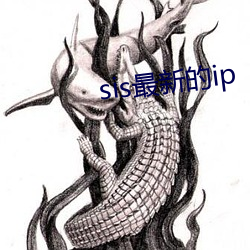 sis最(zuì)新的ip