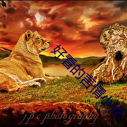 好看的言情小說