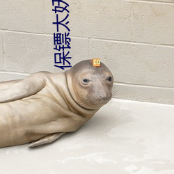 保镖太妖孽(孽)