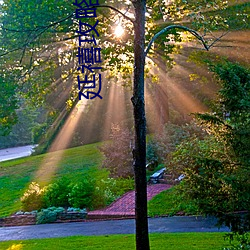 延禧(xǐ)攻略全(quán)集