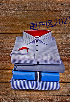 国产区2021区