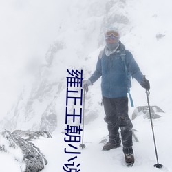 雍正王朝小说