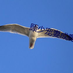 AG真人平台(中国)官方网站