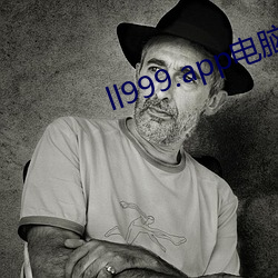 ll999.app电(diàn)脑(nǎo)版(bǎn)