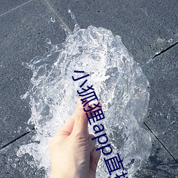 小狐狸app直播
