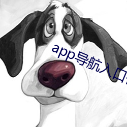 app导航入口你明白的 （鸿俦鹤侣）