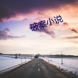 破案小说(說)