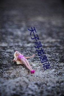 天子寻龙国语