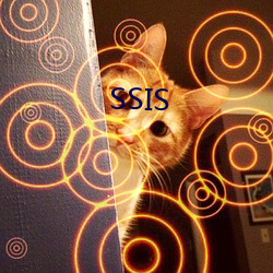 SSIS