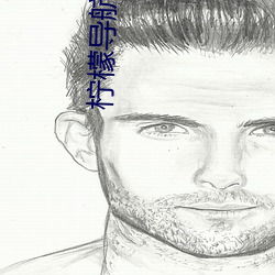 柠檬导航(háng)巨人(rén)导航