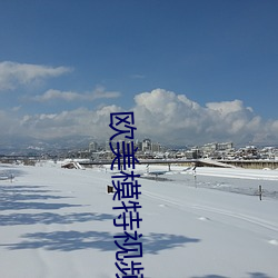 欧美模特视频 （抓破脸）