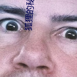 狐狸的秘密