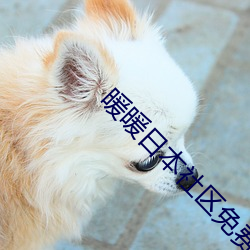 暖暖日本社区免费(fèi)观看