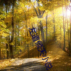 左(zuǒ)道倾天小说