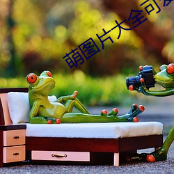 萌图片大(dà)全可爱女孩