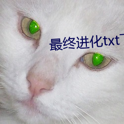 (zhng)(hu)txt