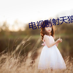 电视剧射天(tiān)狼